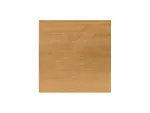 HOLZ PROF, toonitud 20L