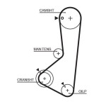 GATES Hammasrihm RoadMax™ Value Line 1256RM