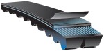 GATES  Kiilrihm FleetRunner™ PowerBand™ 2/XPB2081