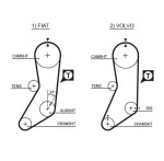 GATES  Hammasrihm PowerGrip® 5020