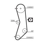 GATES Hammasrihm PowerGrip™ 5030XS
