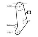GATES  Hammasrihm PowerGrip® 5053