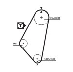 GATES Hammasrihm PowerGrip™ 5083