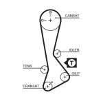 GATES  Hammasrihm PowerGrip™ 5197XS