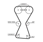 GATES Hammasrihm PowerGrip™ 5255XS