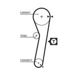 GATES  Hammasrihm PowerGrip™ 5262XS