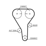 GATES Hammasrihm PowerGrip™ 5341XS