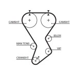 GATES  Hammasrihm PowerGrip™ 5351XS