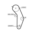 GATES Hammasrihm PowerGrip™ 5352XS