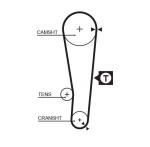 GATES  Hammasrihm PowerGrip™ 5386XS