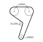 GATES  Hammasrihm PowerGrip® 5433XS