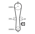 GATES Hammasrihm PowerGrip™ 5454XS