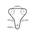 GATES  Hammasrihm PowerGrip™ 5512XS