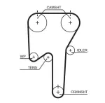 GATES Hammasrihm PowerGrip™ 5533XS