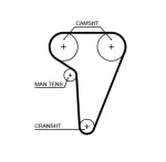 GATES Hammasrihm PowerGrip™ 5549XS