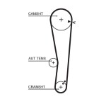 GATES  Hammasrihm PowerGrip™ 5568XS