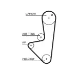 GATES Hammasrihm PowerGrip™ 5575XS