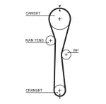 GATES Hammasrihm PowerGrip™ 5577XS