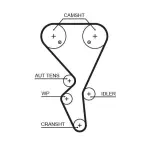 GATES  Hammasrihm PowerGrip® 5581XS