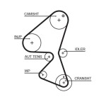 GATES Hammasrihm PowerGrip™ 5587XS