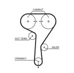 GATES Hammasrihm PowerGrip™ 5603XS