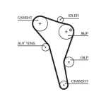 GATES Hammasrihm PowerGrip™ 5622XS