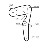 GATES Hammasrihm PowerGrip™ 5646XS