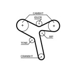 GATES Hammasrihm PowerGrip™ 5647XS