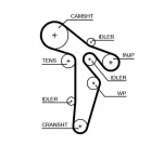 GATES  Hammasrihm PowerGrip™ 5648XS