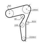 GATES Hammasrihm PowerGrip™ 5650XS
