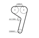 GATES  Hammasrihm PowerGrip™ 5669XS