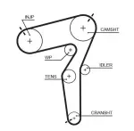 GATES Hammasrihm PowerGrip™ 5684XS
