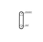 GATES  Hammasrihm PowerGrip® T357HOB