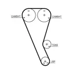 GATES Hammasrihm PowerGrip™ T372HOB