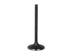 VESRAH GG-1055-IN / intake valve fits: honda trx 420/500 2005-2014