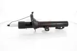 GH Amort GH-352551