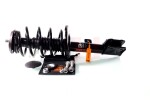 GH Vedruamort Quick-Strut GH-353738C01