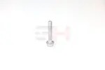GH GH-391563