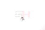GH Mutter, teljetapid GH-391594