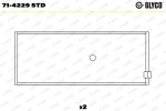 GLYCO 71-4229 STD