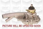 GRAF Veepump,  mootori jahutus PA495