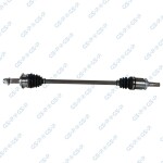 GSP 257586