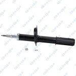 GSP Amort 31303370