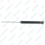 GSP Amort 32109700