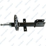 GSP Amort 32301060