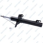 GSP Amort 32302420