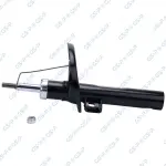 GSP Amort 32302430