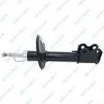 GSP Amort 32305461