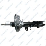 GSP Amort 32306132