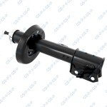 GSP Amort 32306221